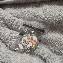 【即購入可】チップとデール　ピンバッジ　アブーズバザール　25周年