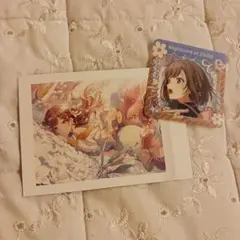 プロセカ 東雲絵名 ぱしゃこれ vol.7 B メモステ