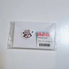 TWICE THIS IS FOR オンラインくじ ラバーピンズセット モモ