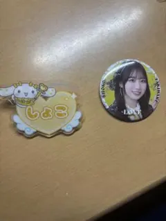 ＝LOVE イコラブ シナモロール アクリルネームバッジ 生写真 瀧脇笙古