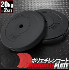 ダンベルプレート 20kg×2セット