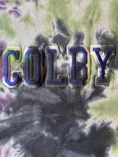 【希少】【90年代USA製】チャンピオン　 リバースウィーブ　レター刺繍　XL