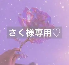 さく様 リクエスト 2点 まとめ商品