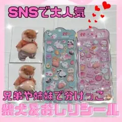 ぷくぷくシール ぷっくり 3D 立体 おなかぷにぷに 柴犬 しばけん スクイーズ