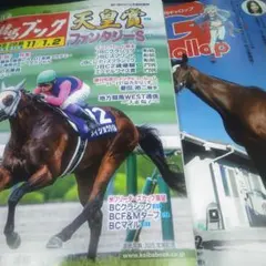 競馬ブック　週刊ギャロップ ２冊セット 2025/11/2