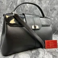 ほぼ新品　未使用級　DEORON　デオロン　パイソン革　ハンドバッグ Yahoo!オークション - 極美品 DEORON 蛇革 パイソン 本革 オール