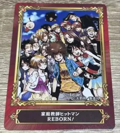 家庭教師ヒットマンREBORN！アニメイト ジャンプフェア2007 2枚セット