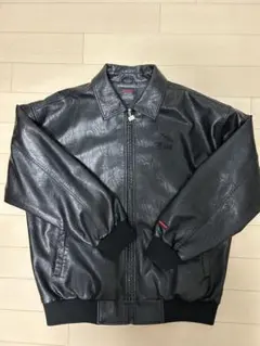 Item thumbnail for item b4177384-f9c2-4c6b-b169-945db5259738