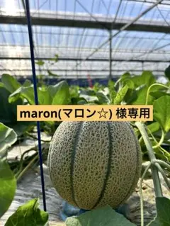 maron(マロン☆) 様専用