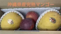 ③追熟型 2種類のマンゴー 常温発送 - メルカリ