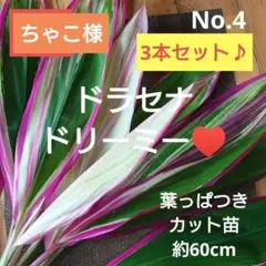 ちゃこ様 リクエスト 2点 まとめ商品