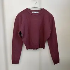 ZARA クロップドロンT ピンク