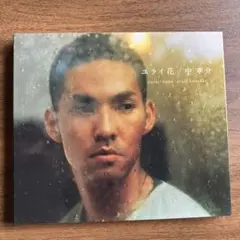 中孝介 悠籟花 CD