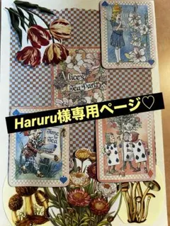 Haruru様 リクエスト 4点 まとめ商品