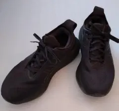 Item thumbnail for item 6bb311d3-e6a1-4673-a011-47b57c9a72f6