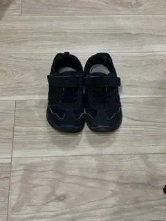 Item thumbnail for item efa1a5bb-66c7-4e1e-ac06-07a0f4dd125c