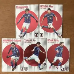 ポテトチップスサッカー日本代表チーム2024