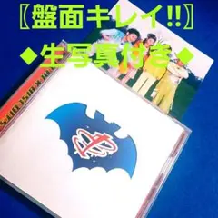【ディスク美品 生写真付き】 ブラックビスケッツ / LIFE ブラビ CD
