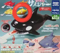 ぱくもぐ！サメジャー 〜宿敵！シャチがやってきた〜 ガチャ シークレット