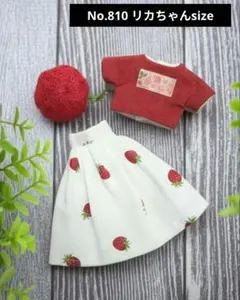 No.810 ハンドメイド　リカちゃん服セット