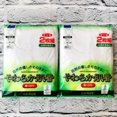 グンゼ　やわらか肌着　2枚組 x 2セット　GUNZE　Lサイズ　半袖　ホワイト