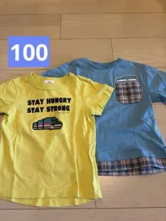 新幹線　はやぶさ　Tシャツセット 100cm