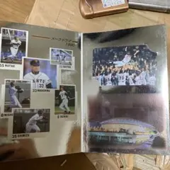 Item thumbnail for item c4267bb3-c0a8-4fec-84e0-96a1028c9a89