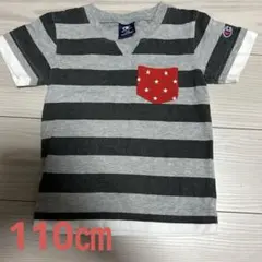 チャンピオン　半袖Tシャツ 110サイズ ボーダー