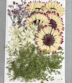 ほしいも様 リクエスト 2点 まとめ商品