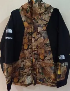 国内正規タグ Supreme x THE NORTH FACE マウンテンパーカ