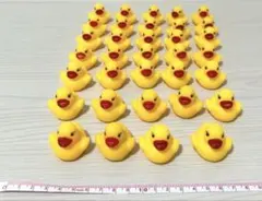 アヒル型お風呂のおもちゃ 34個セット