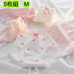 5枚組M 女子高生ショーツ ジュニア綿 レディース 女の子ランジェリー　113号