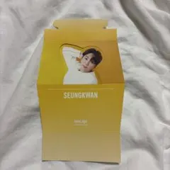 SEVENTEEN teen,age スングァン スタンドのサムネイル