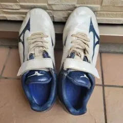 Item thumbnail for item d42e10cc-8d4a-4c83-acf2-83c08d4938ae