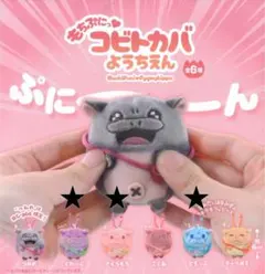 コビトカバようちえん