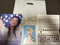安室奈美恵 限定グッズ ポストカード フライヤー