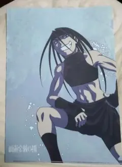 2026年最新】鋼の錬金術師 クリアファイルの人気アイテム - メルカリ