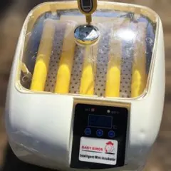 Item thumbnail for item aeb7e54f-d280-463a-8f06-41fb686374da