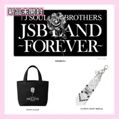 2026年最新】JSB land トートバッグの人気アイテム - メルカリ