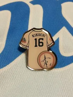 Item thumbnail for item 623d5d52-4642-4fe5-9a8b-fc6ebe17156a