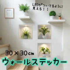 Item thumbnail for item 855f3113-e099-460f-85b3-3797dffbe2e7