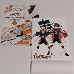 ハイキュー!! 日向翔陽 影山飛雄 箔押しイラストカード