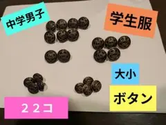 Item thumbnail for item 27697cee-8bf7-4372-9680-e1d75e5f8b4e