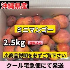 沖縄産マンゴー ミニマンゴー 2.5kgのサムネイル