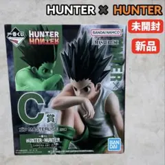 HUNTER x HUNTER ゴン MASTERLISE C賞 未開封