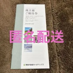 【匿名配送】　東急不動産ホールディングス株主優待券100株　2025年12月発行