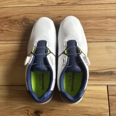 Item thumbnail for item 4a994e27-3ba5-49ed-a867-d2b6129458a2