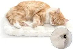 Item thumbnail for item 1f4123ba-0f82-4d4d-b34b-cf410693e5aa