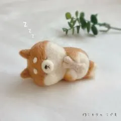 羊毛フェルト スヤスヤ柴犬ちゃん.° 作家 ハンドメイド 柴犬 犬 ミニチュアのサムネイル