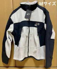 Item thumbnail for item f916793b-2ad2-4045-8d72-f38ccdef38e1